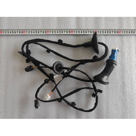REAR RIGHT DOOR WIRING HARNESS - Faisceau de câblage de porte arrière droite - BYD - 16654979-00