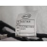REAR RIGHT DOOR WIRING HARNESS - Faisceau de câblage de porte arrière droite - BYD - 16654979-00