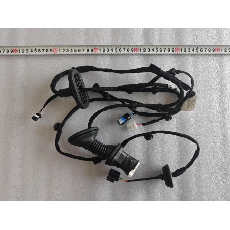 REAR LEFT DOOR WIRING HARNESS - Faisceau de câblage de porte arrière gauche - BYD - 16654976-00