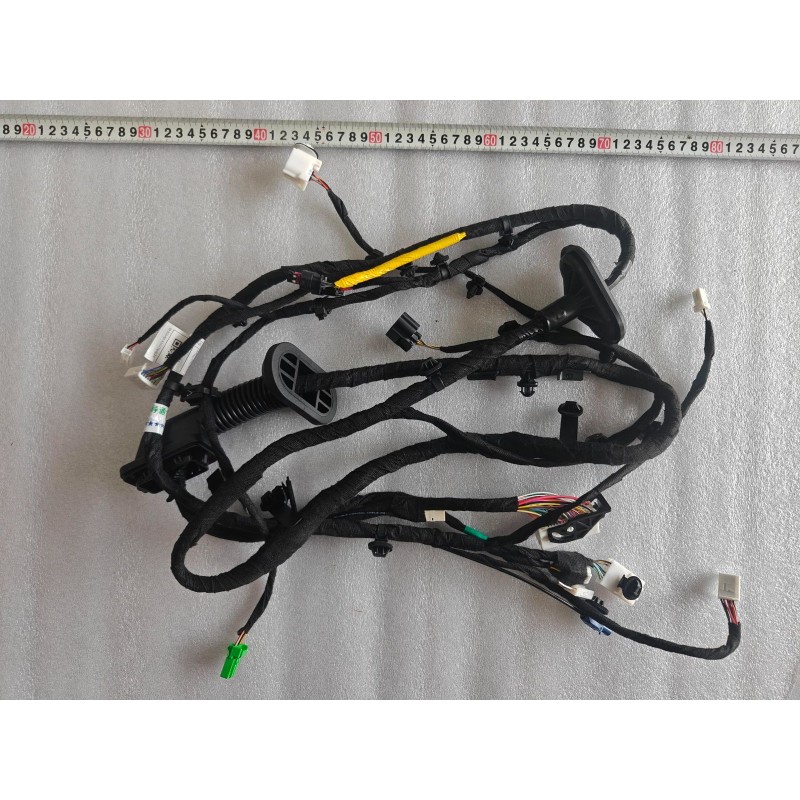 FRONT LEFT DOOR WIRING HARNESS - Faisceau de câblage de porte avant gauche - BYD - 16654973-00