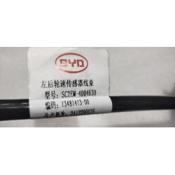 Faisceau de câblage de plancher - BYD - 16650654-00