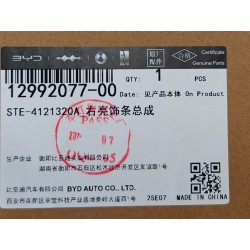 Baguette chromée droite - BYD - 12992077-00
