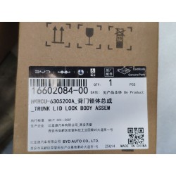 Corps de serrure de couvercle de coffre - BYD - 16602084-00