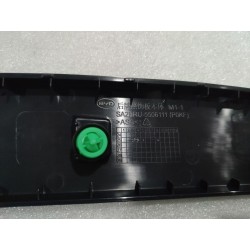 Garniture de plaque d'immatriculation arrière - BYD - 16592918-00