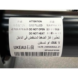 Jambe de suspension avant droite - BYD - 16585069-00