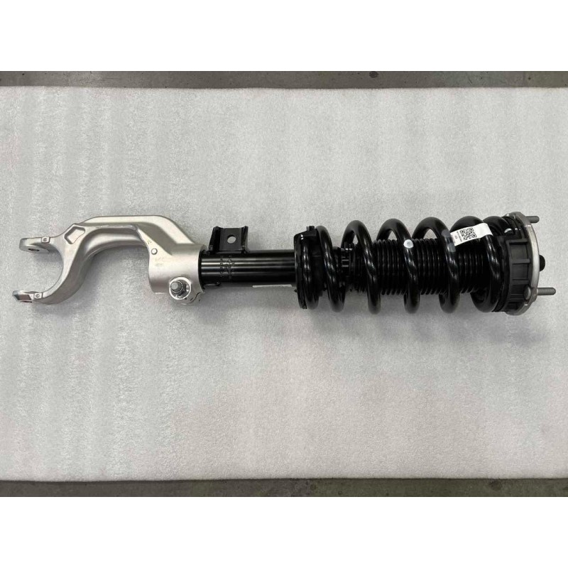 Jambe de force avant gauche - BYD - 16585066-00
