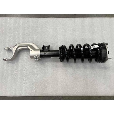 Jambe de force avant gauche - BYD - 16585066-00