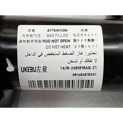 Jambe de force avant gauche - BYD - 16585066-00
