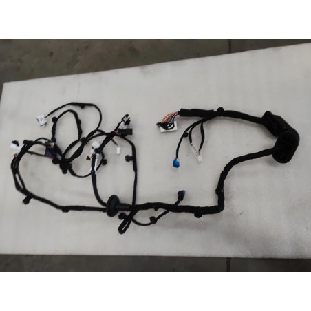 Faisceau de câblage de la porte avant gauche - BYD - 16569038-00