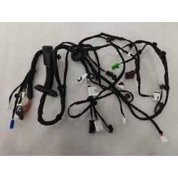 Faisceau de câbles de la portière avant gauche - BYD - 16569028-00