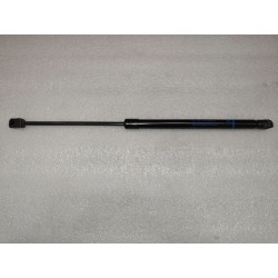 Vérin à gaz droit de compartiment avant - BYD - 16567495-00