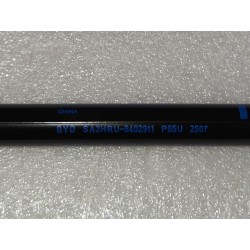 Vérin à gaz gauche de compartiment avant - BYD - 16567493-00
