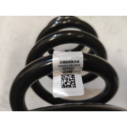 Ressort hélicoïdal arrière - BYD - 16565489-00