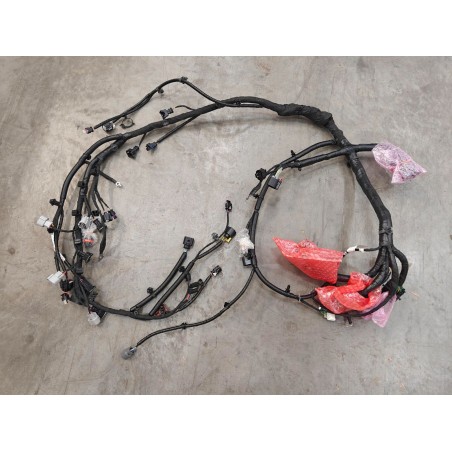 ENGINE WIRING HARNESS - Faisceau de câblage moteur - BYD - 16517924-00
