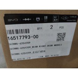 Module de porte arrière droite - BYD - 16517793-00