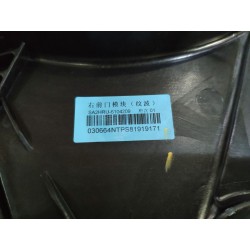 Module de porte avant droite - BYD - 16517791-00