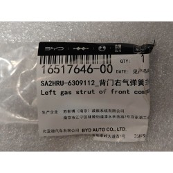 Vérin à gaz droit de hayon - BYD - 16517646-00
