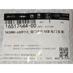 Support supérieur gauche de vérin à gaz de hayon - BYD - 16517644-00