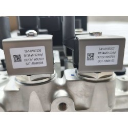 TA2-8109500M-Module intégré de gestion thermique - BYD - 16502773-00