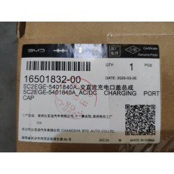 Trappe de prise de charge AC/DC - BYD - 16501832-00