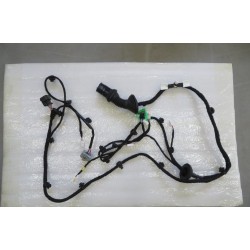 Faisceau de câblage de porte arrière droite - BYD - 12941113-00