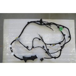 Faisceau de câblage de porte arrière gauche - BYD - 12941112-00