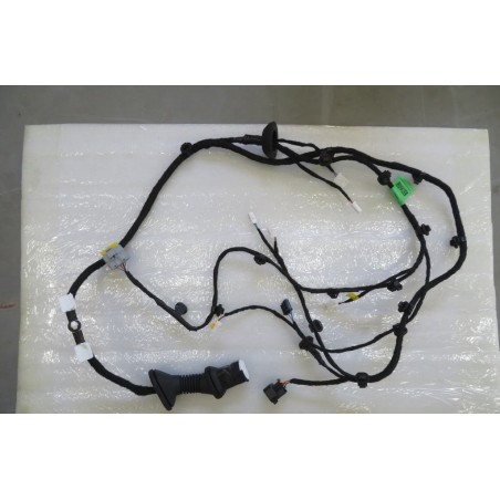 Faisceau de câblage de porte arrière gauche - BYD - 12941112-00
