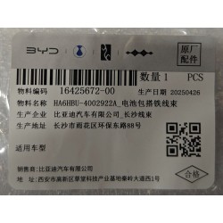 Faisceau de câblage de masse du bloc-batterie - BYD - 16425672-00