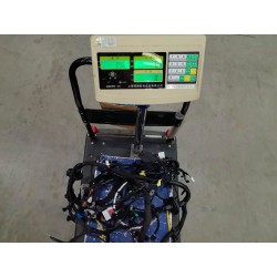 Faisceau de câblage de compartiment avant - BYD - 16425322-00