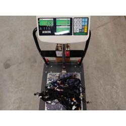 Faisceau de câblage de tableau de bord - BYD - 16425294-00