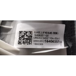 Blindage supérieur de montant A gauche - noir foncé 5 - BYD - 16406351-00