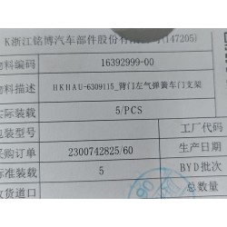 Support supérieur gauche de vérin de hayon - BYD - 16392999-00