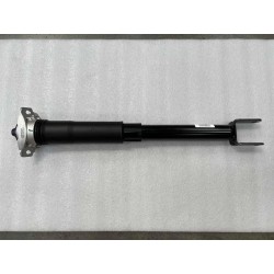 Amortisseur arrière - BYD - 16388951-00