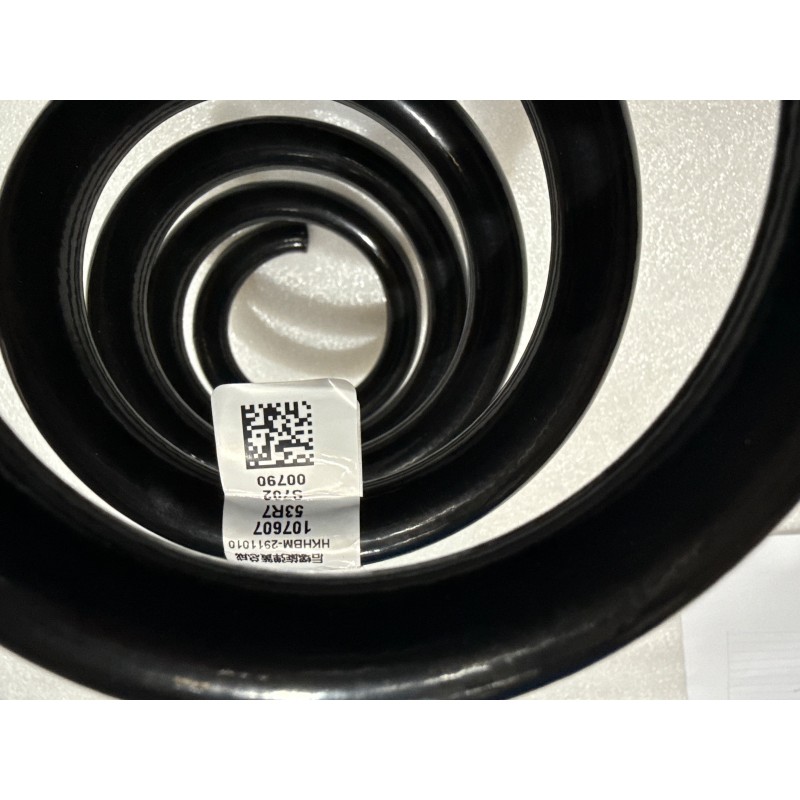 Ressort hélicoïdal arrière - BYD - 16381539-00
