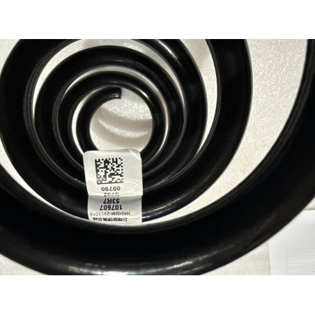Ressort hélicoïdal arrière - BYD - 16381539-00