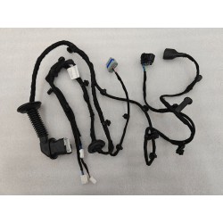 Faisceau de câblage de porte arrière droite - BYD - 16366320-00