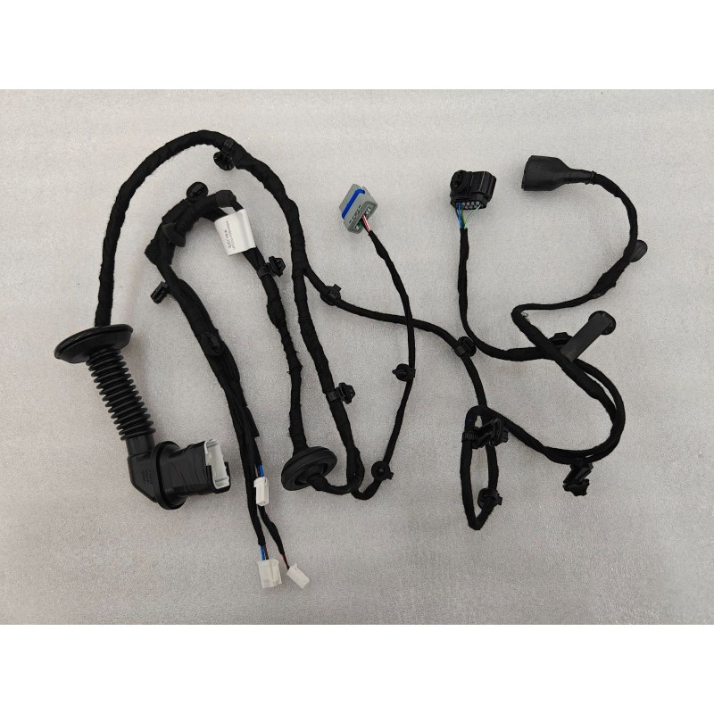 Faisceau de câblage de porte arrière droite - BYD - 16366320-00