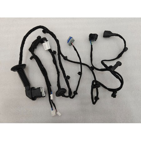 Faisceau de câblage de porte arrière droite - BYD - 16366320-00