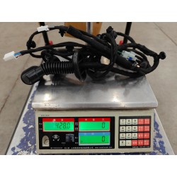 Faisceau de câblage de porte arrière droite - BYD - 16366320-00