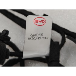 Faisceau de câblage de porte avant droite - BYD - 16366281-00