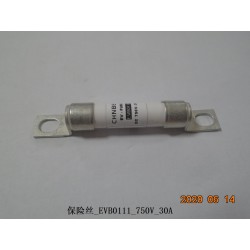 Fusible - BYD - 12831263-00