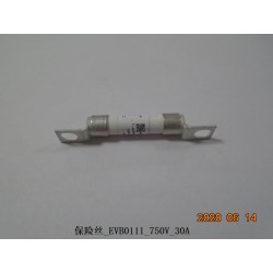 Fusible - BYD - 12831263-00