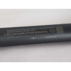 Vérin électrique de porte latérale droit - BYD - 16311761-00