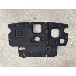 Front compartment heat insulator - BYD - 16306302-00