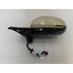 Rétroviseur extérieur gauche - BYD - 16298846-00