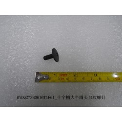 Vis autotaraudeuse cruciforme à grosse tête demi-ronde - BYD - 11010465-00