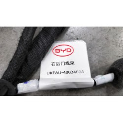 Faisceau de câblage de la porte arrière droite - BYD - 16279268-00