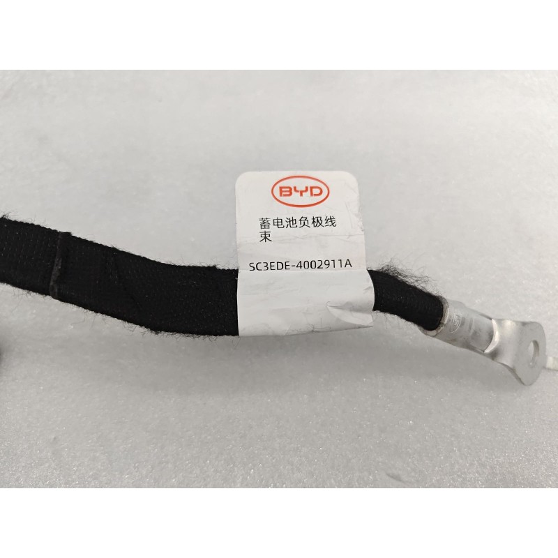 Faisceau de câblage négatif batterie 12 V - BYD - 16242142-00