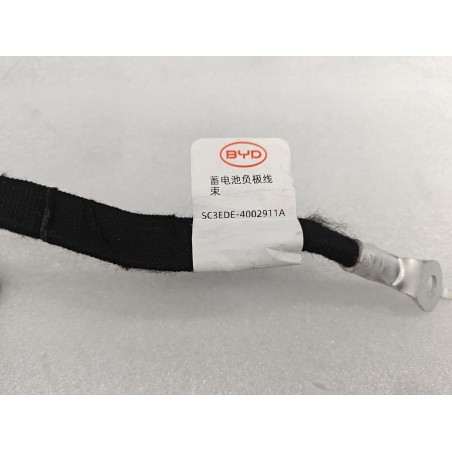 Faisceau de câblage négatif batterie 12 V - BYD - 16242142-00