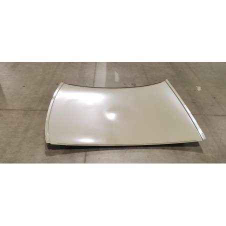 Panneau extérieur de pavillon - sans toit ouvrant - BYD - 16222881-00